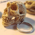 Diy Toy/Miniature Skull /Skeleton head